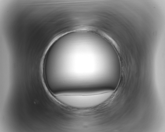 X0000099401483200805081231