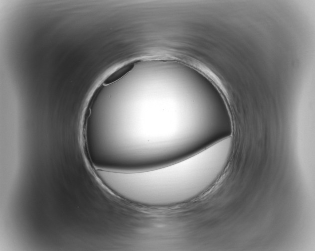 X0000099401485200805081231