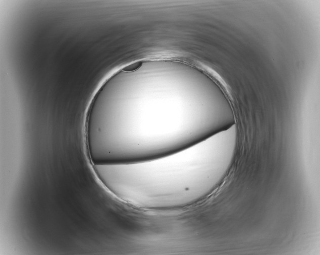 X0000099401487200805081231
