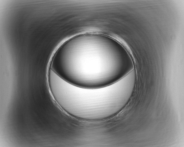X0000099401488200805081231