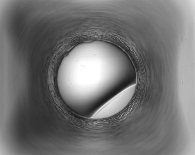 X0000099401489200805081230