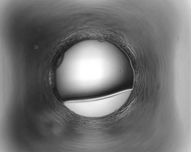 X0000099401490200805081230