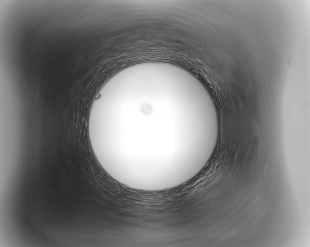 X0000099401491200805081230