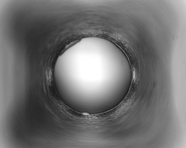 X0000099401492200805081230