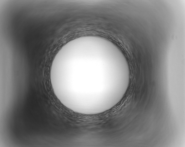 X0000099401493200805081230