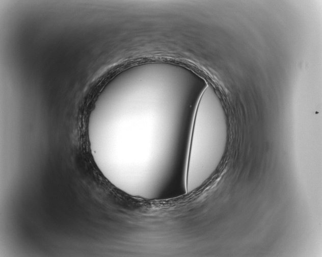 X0000099401494200805081230
