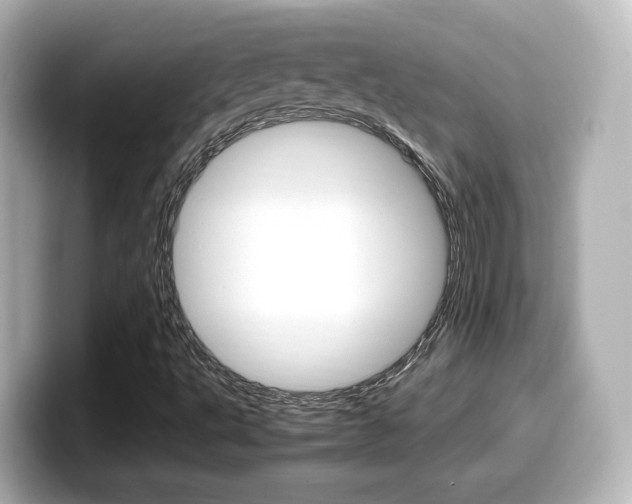 X0000099401495200805081230