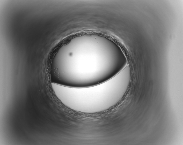 X0000099401496200805081230