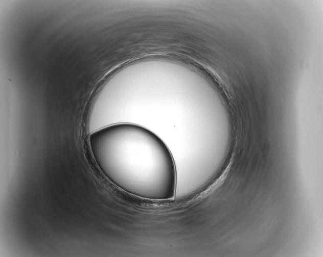 X0000099401497200805081230