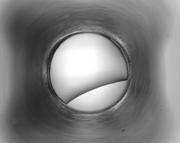 X0000099401498200805081230