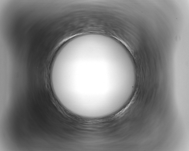 X0000099401499200805081230