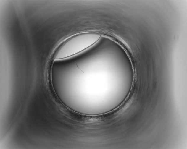 X0000099401501200805081230