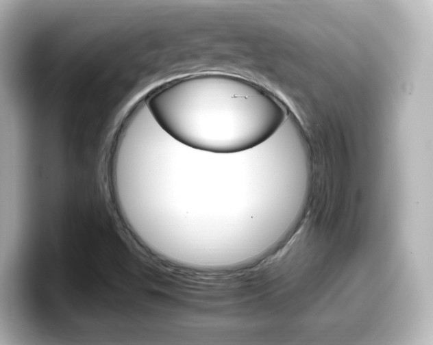 X0000099401503200805081230