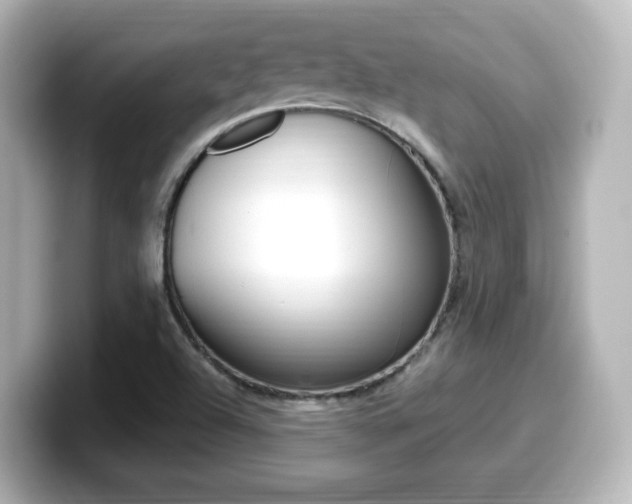 X0000099401504200805081230