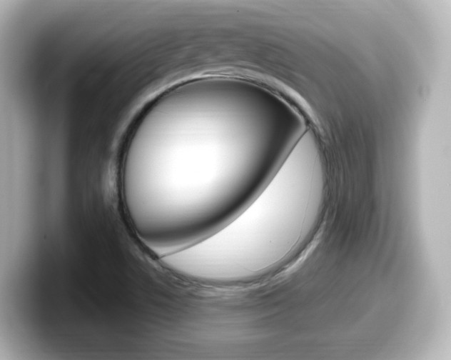 X0000099401506200805081231