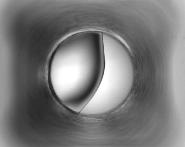X0000099401508200805081231