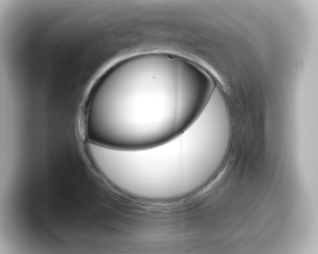 X0000099401510200805081231