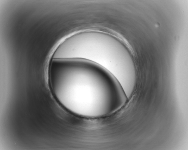 X0000099401512200805081231