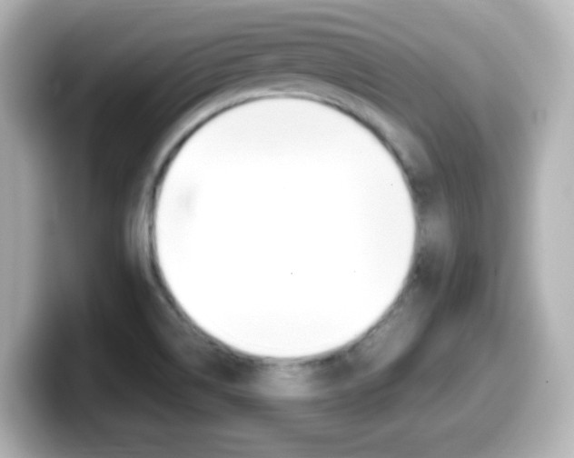 X0000099401514200805081231