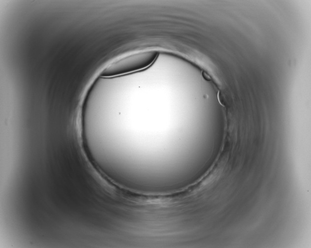 X0000099401516200805081231