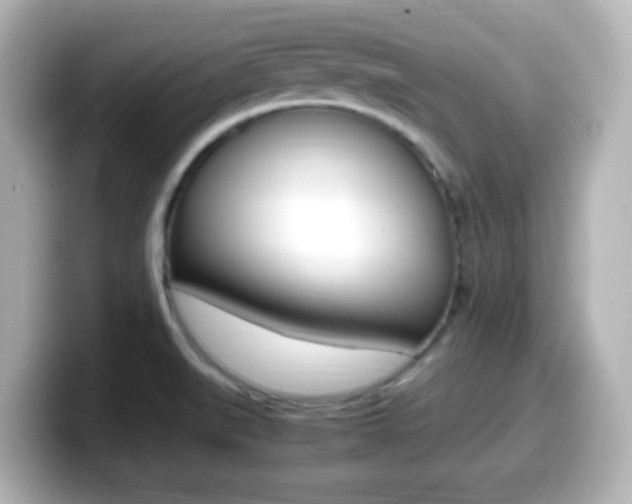 X0000099401519200805081231