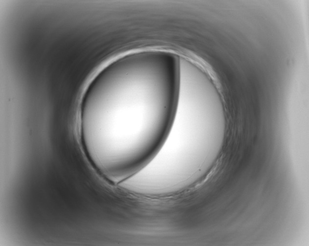 X0000099401520200805081231