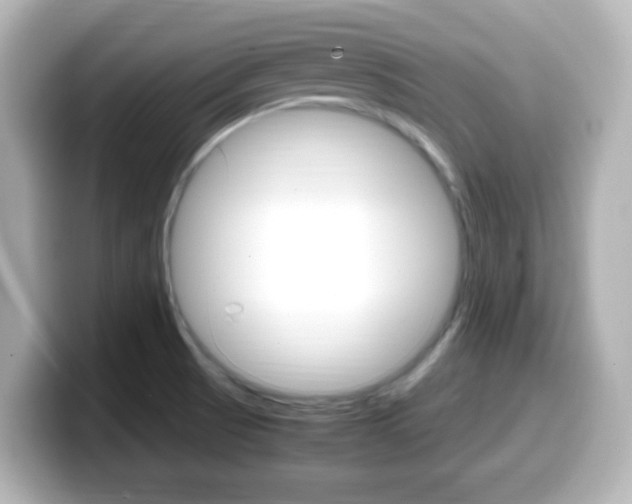 X0000099401521200805081231