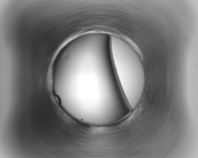 X0000099401522200805081231