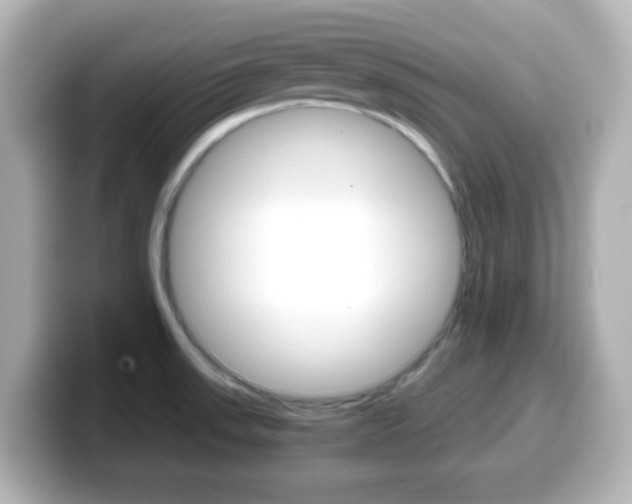 X0000099401523200805081231
