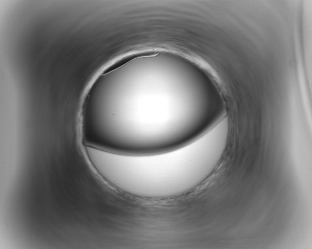 X0000099401524200805081231