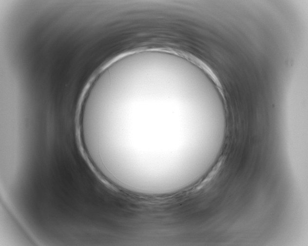 X0000099401525200805081231