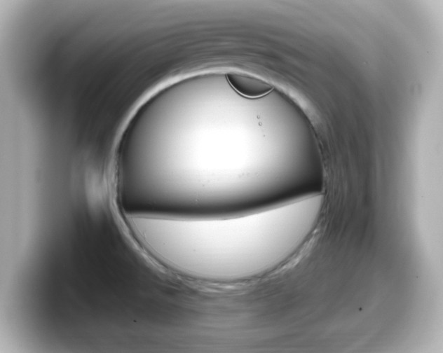 X0000099401526200805081231