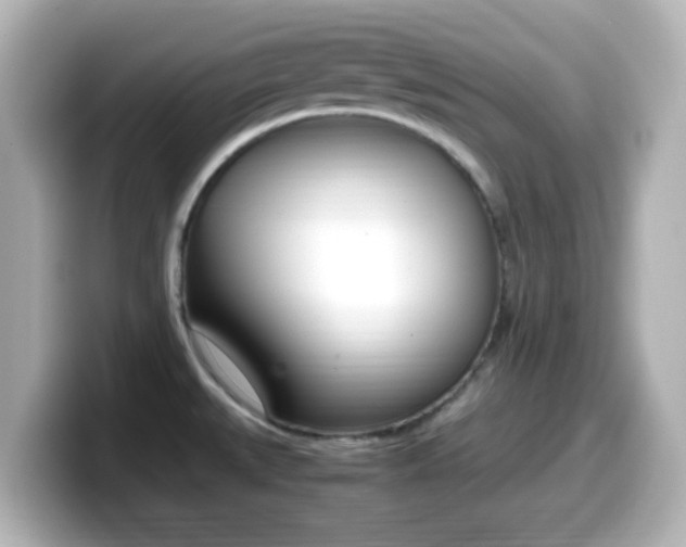 X0000099401527200805081231