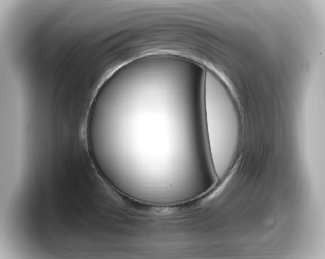 X0000099401529200805081231