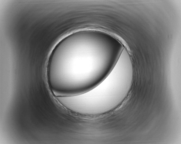 X0000099401530200805081231