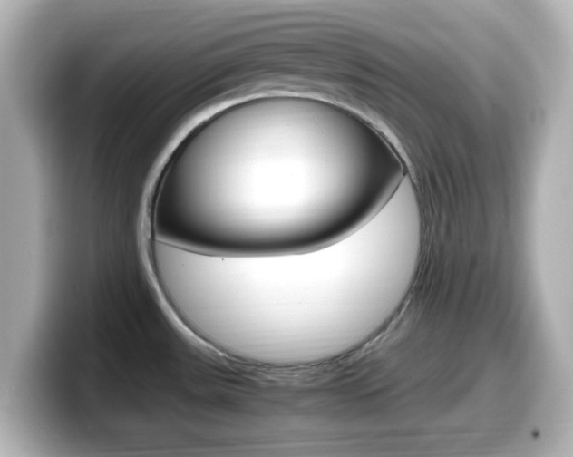 X0000099401531200805081231