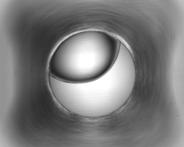X0000099401532200805081231