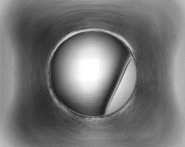X0000099401534200805081231