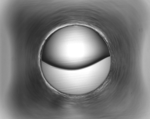 X0000099401535200805081231