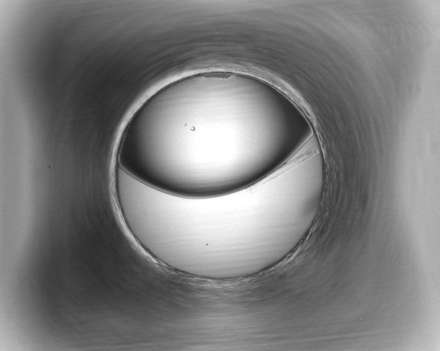 X0000099401536200805081231