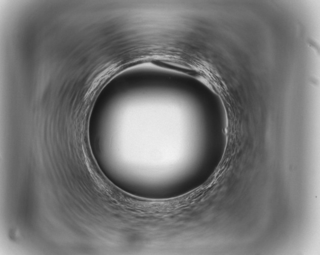 X0000099400001200805081544