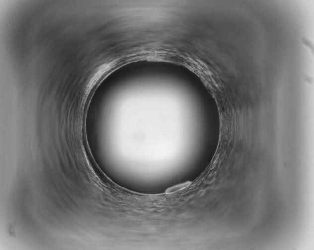 X0000099400003200805081544
