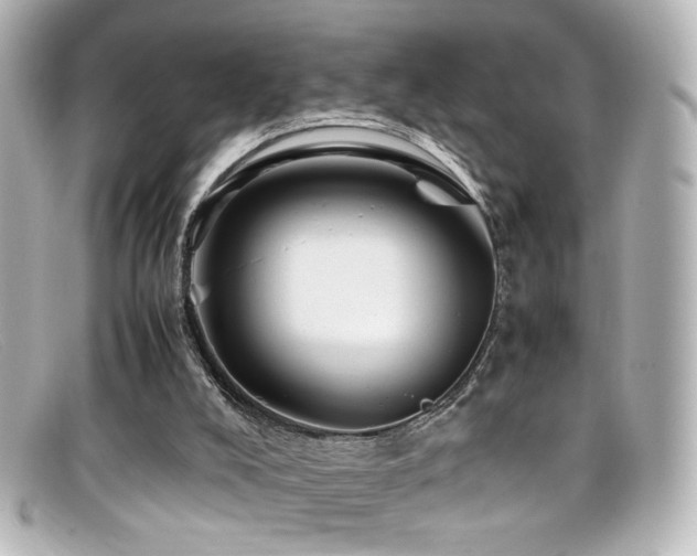X0000099400008200805081544