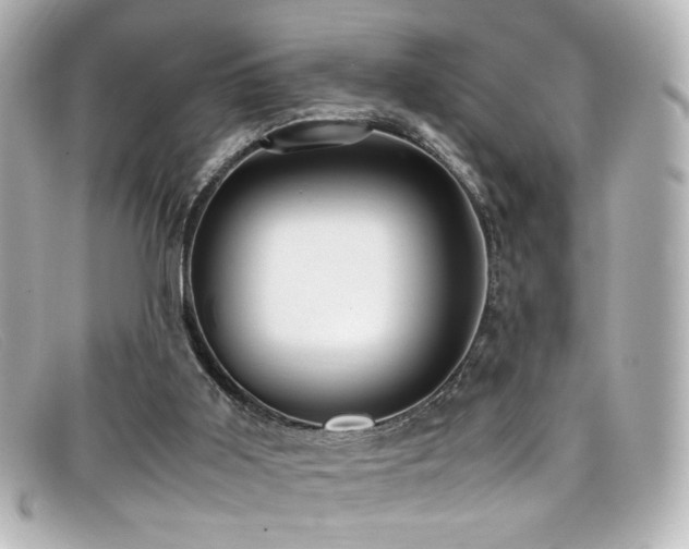 X0000099400011200805081544