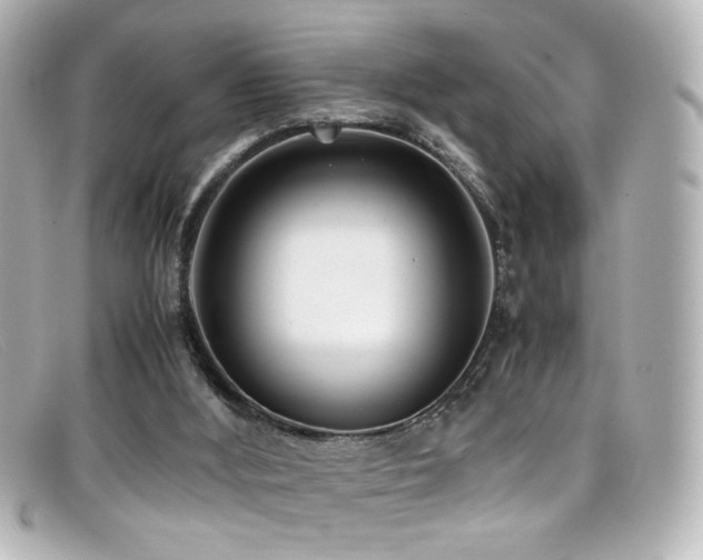 X0000099400012200805081544