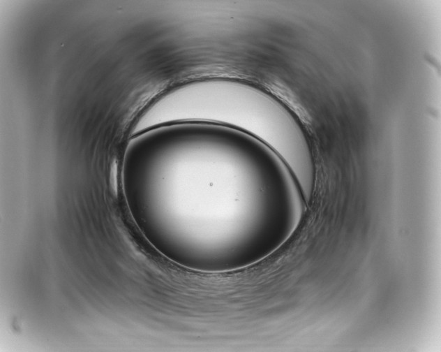 X0000099400014200805081544
