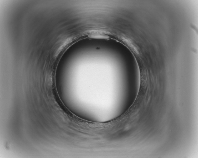 X0000099400015200805081544