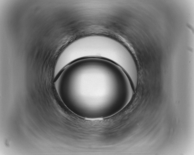 X0000099400018200805081544