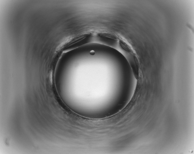 X0000099400019200805081544