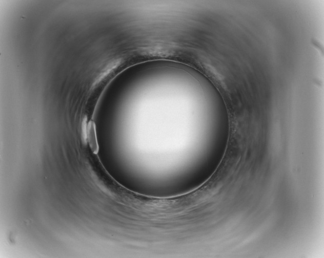 X0000099400020200805081544